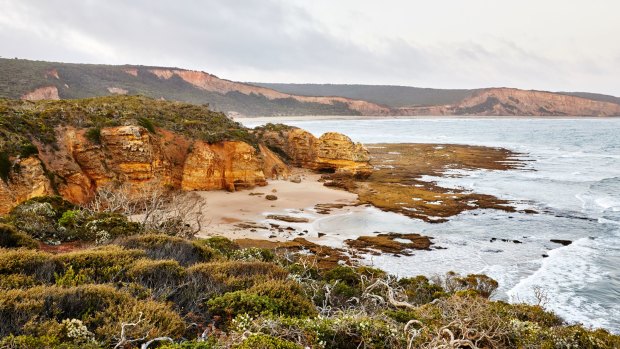 Point Addis, near Anglesea, provided inspiration for Phillip Withers' MIFGS design.