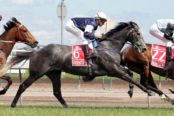 Efficient won the 2007 Melbourne Cup.