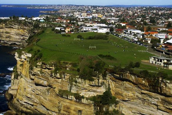 Before the trees: What Rodney Reserve looked like in 2009.