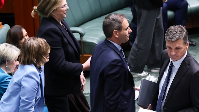 ‘Avoiding scrutiny’: Coalition and Greens fight to delay Labor’s major budget bills