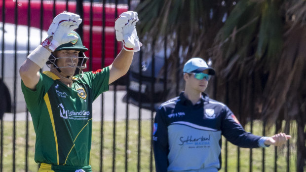 David Warner and Steve Smith may have to wait until the World Cup to make their return to the Australian team.