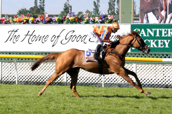 Cox Plate placegetter Te Akau Shark has passed away.