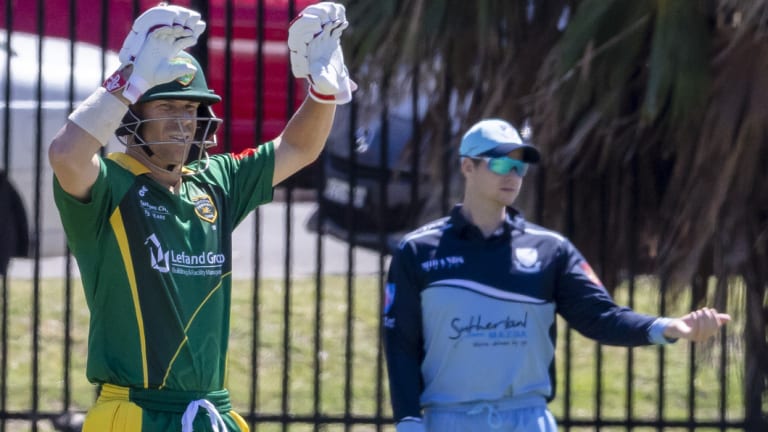 Serving their time: David Warner and Steve Smith have been playing Sydney grade cricket.