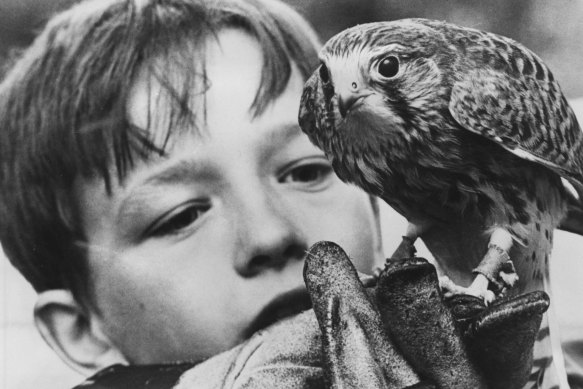 David Bradley in the film Ken Loach’s Kes.