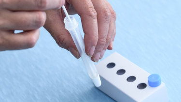 Several groups are pushing for free rapid kits to be provided to specific groups of people, including businesses and low-income households.