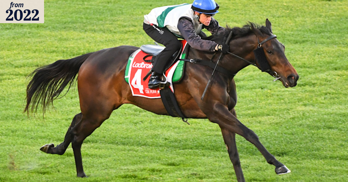 Cox Plate 2022: Ben Hayes says Mr Brightside on target for top-three finish
