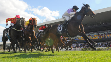 Racing Nsw Announce 75m Golden Eagle At Rosehill Gardens