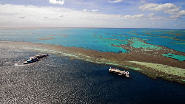Hardy Reef, part of the Great Barrier Reef. 