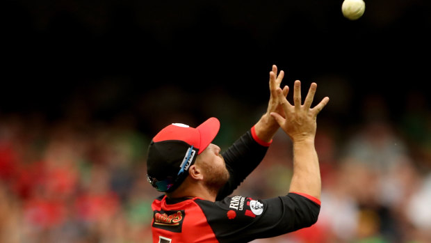 Safe pair of hands: Aaron Finch saw success in the BBL with the Melbourne Renegades after winning the final against crosstown rivals the Stars.