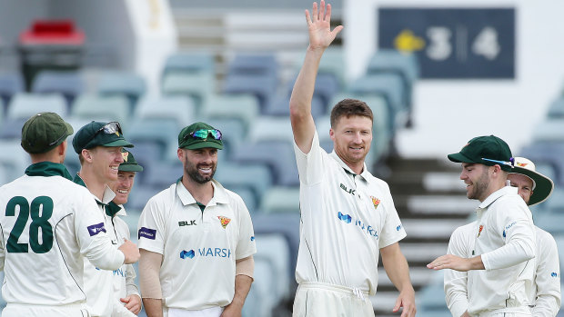 Got him: Tasmania's Jackson Bird celebrates taking the wicket of Mitch Marsh.