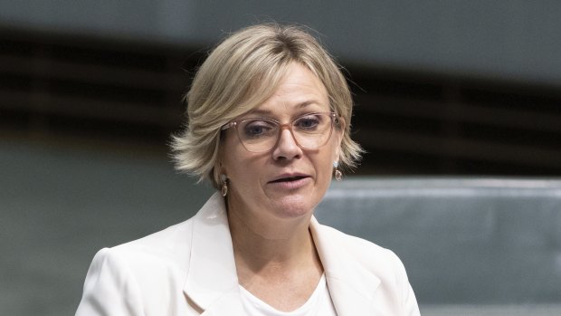 Independent Zali Steggall has criticised Labor for rejecting a suggestion to force political parties to comply with privacy laws.