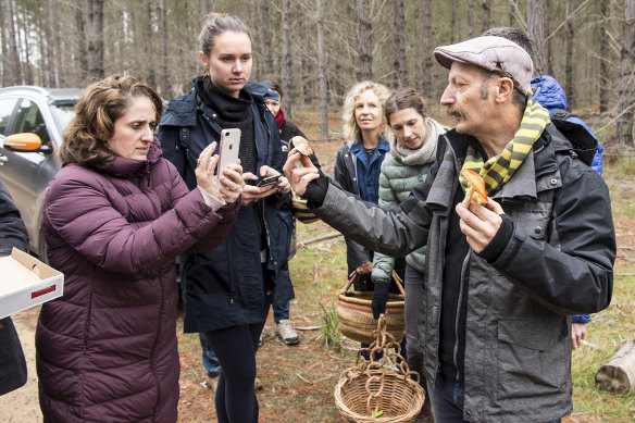 Diego Bonetto leads a foraging expedition in Belangalo State Forest.