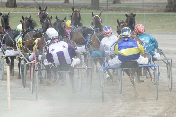 Harness racing officials face a nervous wait to find out if COVID-19 is out of control in the industry.