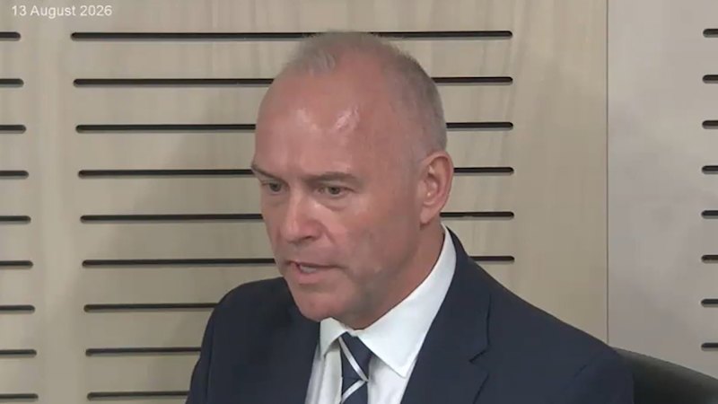 Catholic Schools NSW boss Dallas McInerney criticises Reformers after thwarted political bid