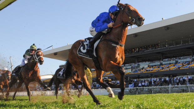 Bolt from the blue: Joshua Parr rides Bivouac to victory in the Run To The Rose. 