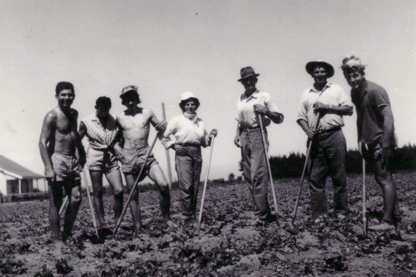 Lucy (centre) working in the fields on farms in Werribee in the 1960s. 