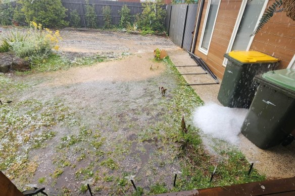 A backyard in Geelong’s northern suburbs blanketed by hail. 