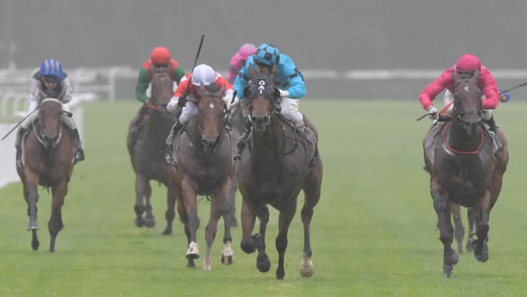 There will be eight races at Gosford today.