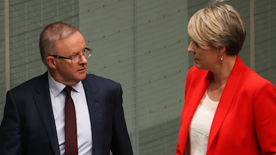 Opposition Leader Anthony Albanese and Sydney MP Tanya Plibersek during question time on Monday.