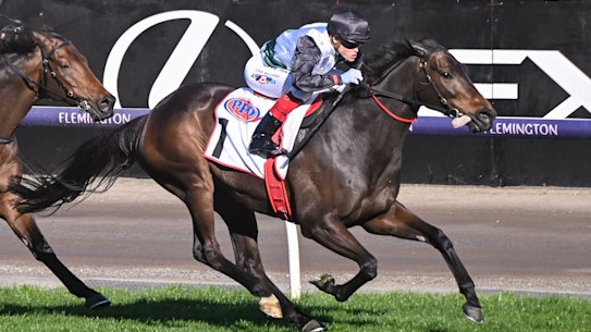 Makybe Stakes winner Mr Brightside is chasing a Cox Plate win