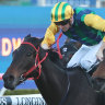 Race-by-race preview and tips for Coffs Harbour on Friday