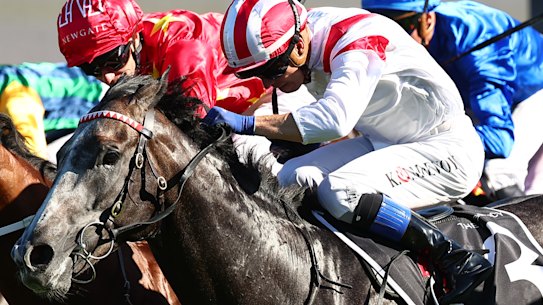 Celestial Legend charges through late to win the Randwick Guineas in March.