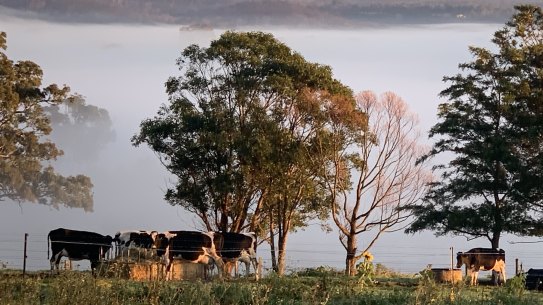 Rob Miller has been working to protect the unique environment on his land for 20 years and says he’s seen huge benefits.