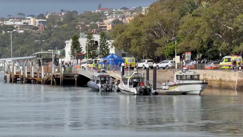 Boy bitten by shark in Sydney’s east