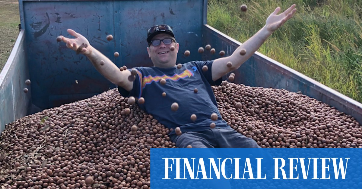 Macadamia growers expect 'super profits' from land conversions - Vimarsana News