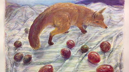 FOX WITH MIXED PASSIONFRUIT (2018), by Merrick Fry, watercolour on paper; chalk pastel & charcoal; 61CM x 83cm.