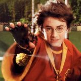 Harry Potter chases the golden snitch during a game of quidditch.