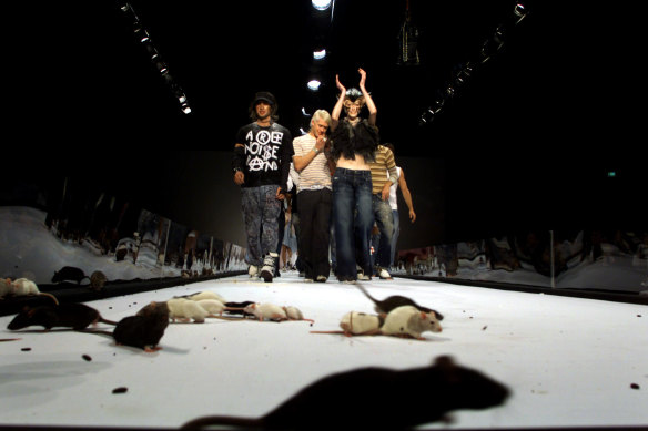 Rats at the Tsubi fashion show.