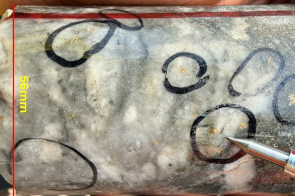 Abundant visible gold in drill core from Aurum Resources’ West African Boundiali gold project.