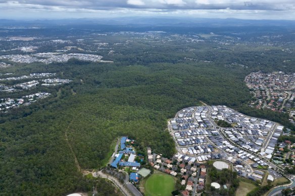 Woogaroo forest and bordering estates. Assessments carried out before the first stage of the development found insufficient evidence of koalas. Campaigners say this contradicts their knowledge of the forest.