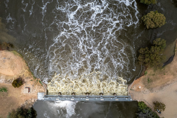 The weir holding back Lake Wetherell was opened on Wednesday to its maximum capacity, allowing 45,000 megalitres per day to flow downstream.