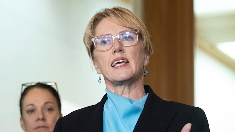 Former MP Zoe Daniel in the frame for new teal party