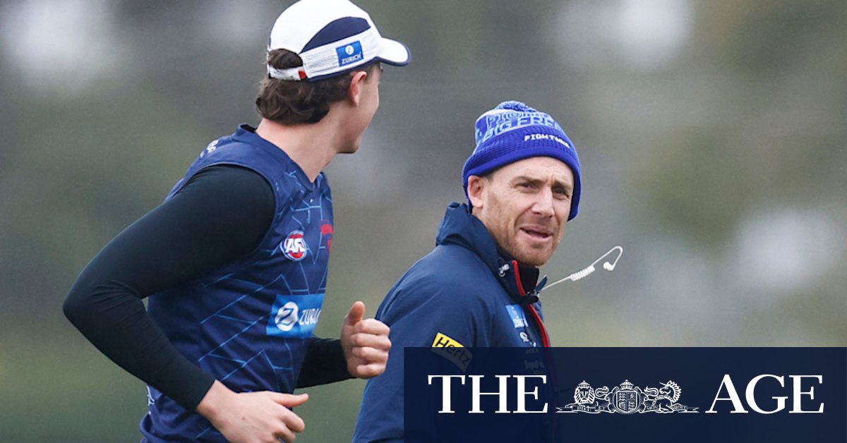 AFL 2022: Melbourne Demons coach Simon Goodwin says Steven May, Jake Melksham fight was embarrassing, Gillon McLachlan on Gary Pert exchange - Vimarsana News