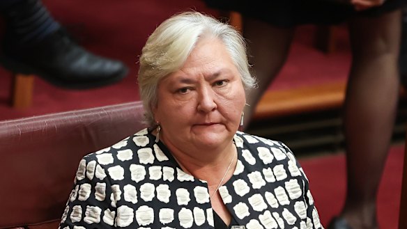 Coalition senator Sam McMahon during her valedictory speech on Wednesday.