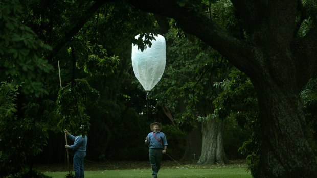 Giant balloons were released into the colony.