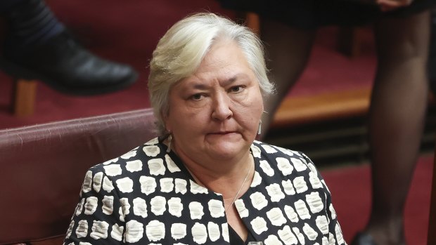 Coalition senator Sam McMahon during her valedictory speech on Wednesday.