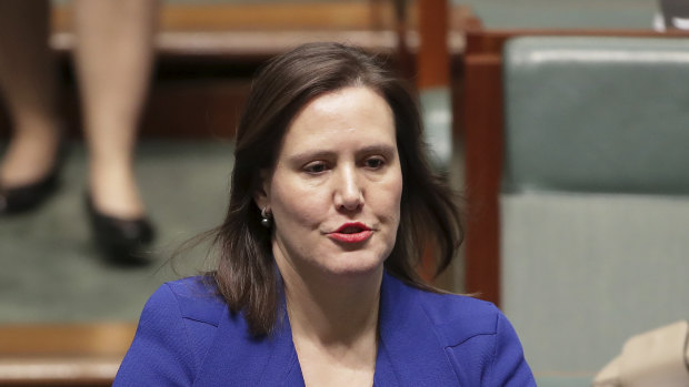 Speaking out: Kelly O’Dwyer.