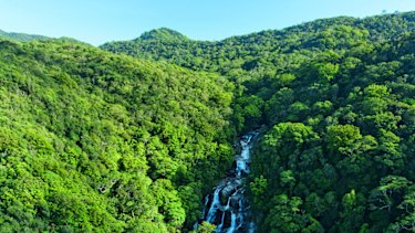 Mossman Gorge in far north Queensland.