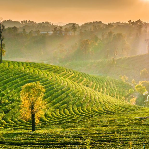 Northern Thailand is not really about big-city life.