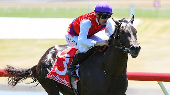 Artorius, ridden by Mark Zahra, wins  in style at Sandown on Saturday.