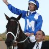 After a year, Waller can talk about Winx without crying ... sometimes