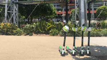 Lime scooters at Gasworks at Newstead after a temporary permit allowed the company to start operating in Brisbane without users facing hefty fines.