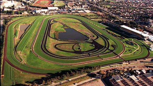 Could Rosehill racecourse go up for sale one day?