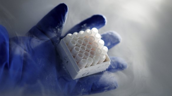 Mesoblast shares bounced after a tough end to 2020, when shares were savaged after news its COVID-19 trial was unsuccessful. 