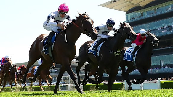Sequista (far right) runs third behind Within The Law​ in the Inglis Nursery at Randwick.