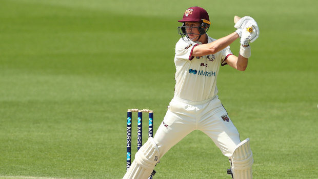 Bullish: Marnus Labuschagne in action for Queensland in the Sheffield Shield competition.